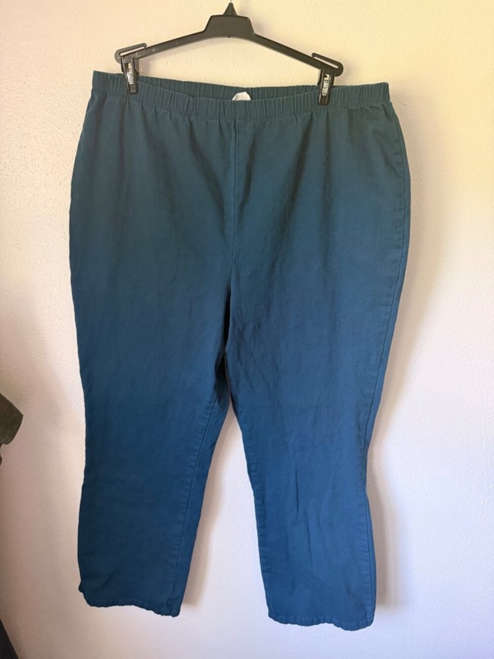 D & Co. Pull On Pants Blue Elastic Waist Womans 2X